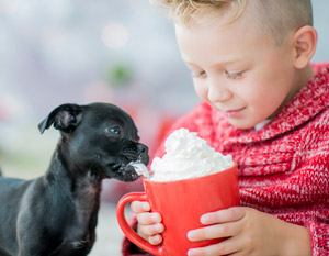 Dogs drinking hot chocolate are an often-overlooked category of seasonal employees.